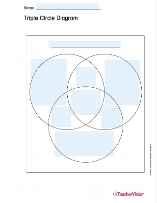 Triple Venn Diagram