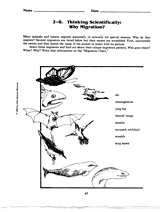 Why Migration? -- Thinking Scientifically