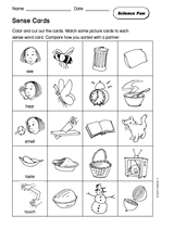 Science Fun: Sense Cards