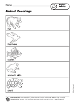 Explore Activity: Animal Coverings