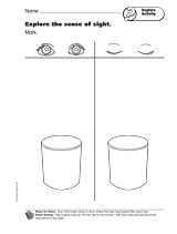 Explore Activity: Explore the Sense of Sight