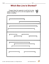 Which Bee Line Is Shortest?