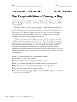 The Responsibilities of Owning a Dog