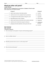 What Are Other Cell Parts?