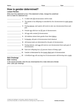 How Is Gender Determined?