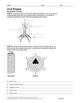 Activity: Viral Shapes
