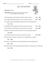 Quiz: The Nettle Plant