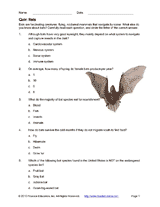 Quiz: Bats