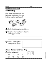 Find the Bug